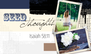 Word Of Faith - Seed Thoughts