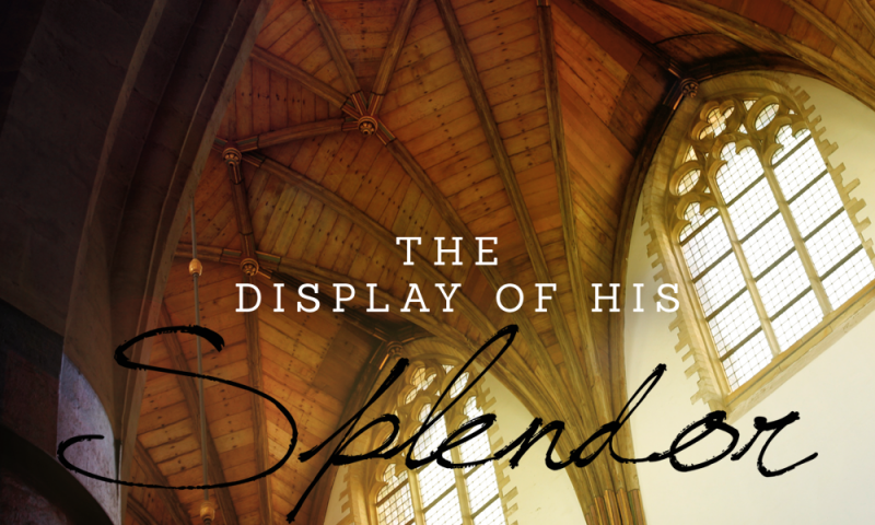 The Display of His Splendor - Rhema
