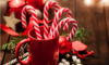 Candy Canes in a red mug