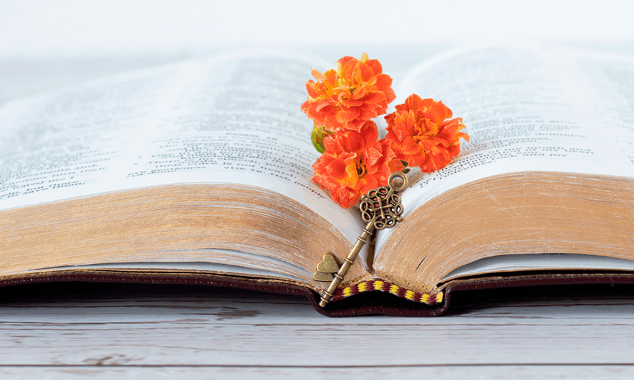 Bible with flower